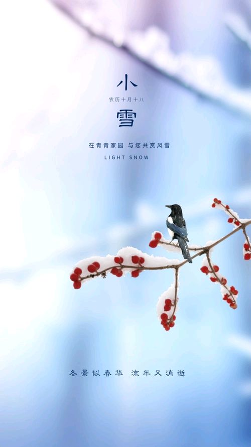 《七律 · 浔阳小雪日》作者/吴云钦（图4）