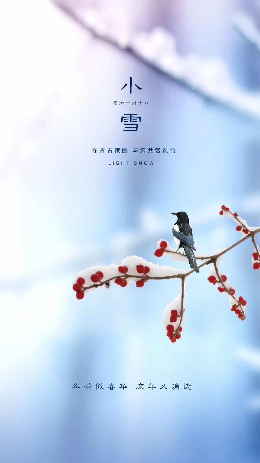 中华诗艺社黑龙江分社微刊第260期(图61)