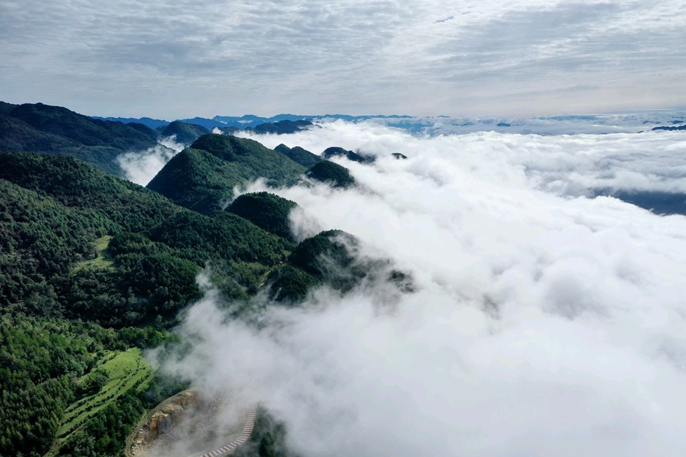 文学与狗