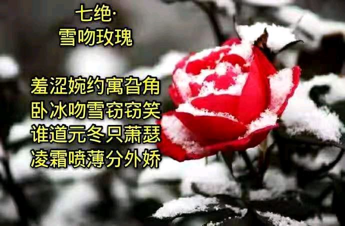 临江仙.愿（外二首）——作者：追忆——【民族诗人】征稿——都市头条（图6）