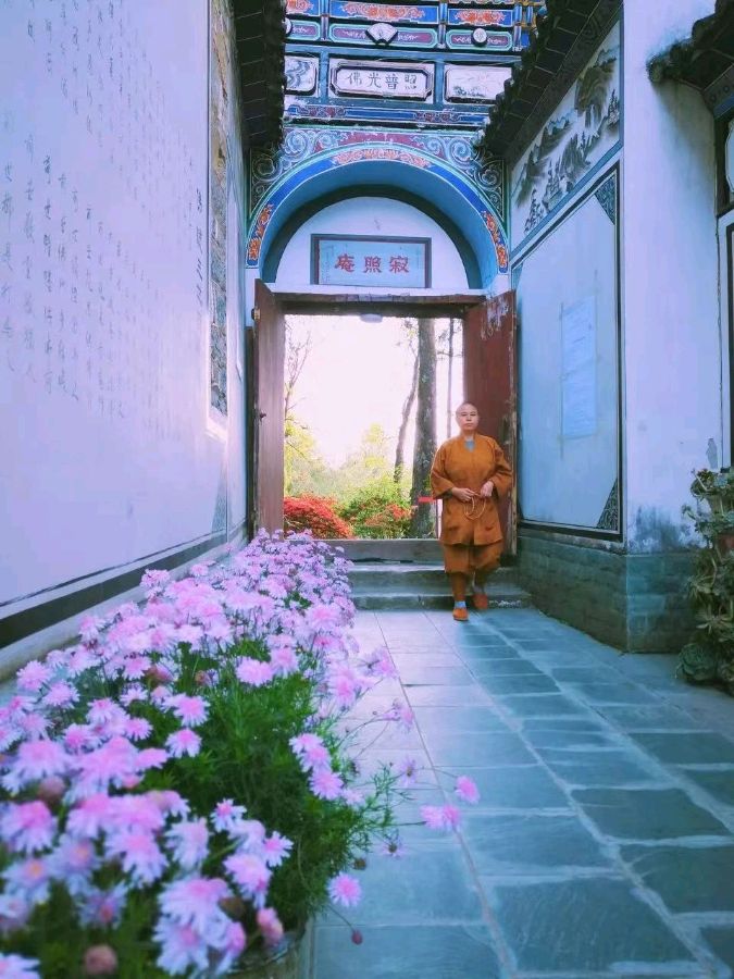 《寂照庵》作者:佚名【主播:丹桂】【桃源国际诗歌集团】用声音传递温暖以诵读致敬人生♬（图8）