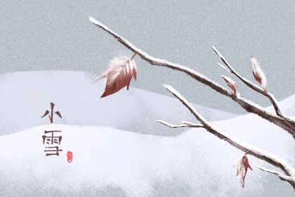 【诗歌鉴赏】小雪 文/春华秋实（图5）