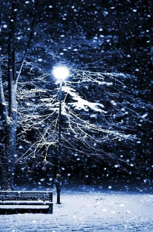 【又到了“小雪”的节气】作者一苇斋牧夫 诵读宋淑燕（图3）