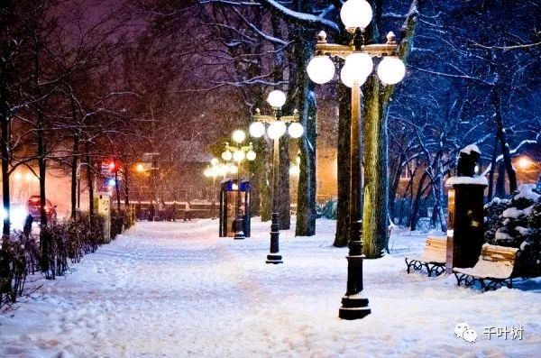 【新山东文学社】《冬夜，想起一场雪（外一首）》作者/大浪淘沙 主播/竹韵丽影（图4）