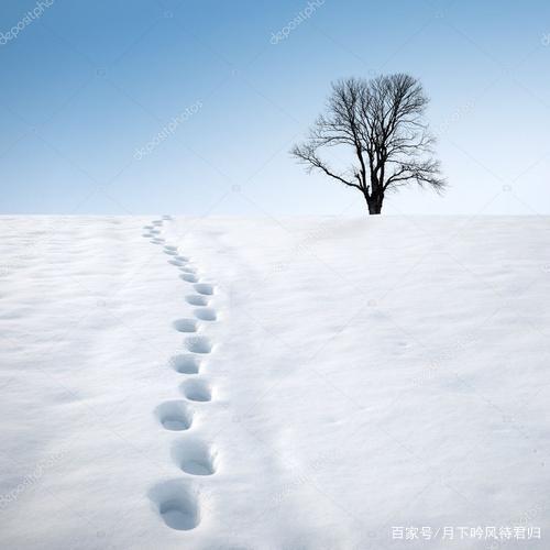 【新山东文学社】《冬夜，想起一场雪（外一首）》作者/大浪淘沙 主播/竹韵丽影（图6）