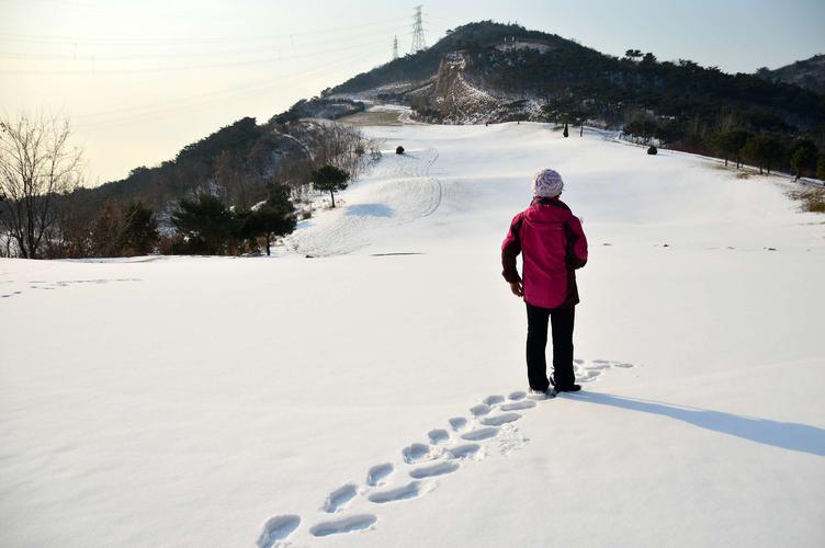 【新山东文学社】《冬夜，想起一场雪（外一首）》作者/大浪淘沙 主播/竹韵丽影（图7）