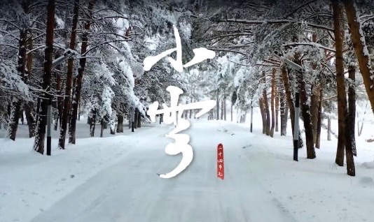 【新诗大观】小雪||文/村里女人