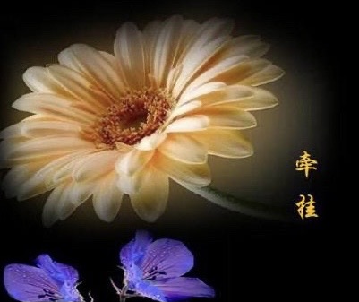 【新诗大观】牵挂||文/悦人