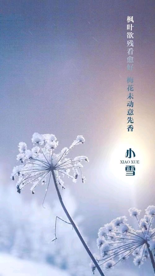《九江文学社：北京头条》《小雪节气》专刊【总第1918期】（图10）