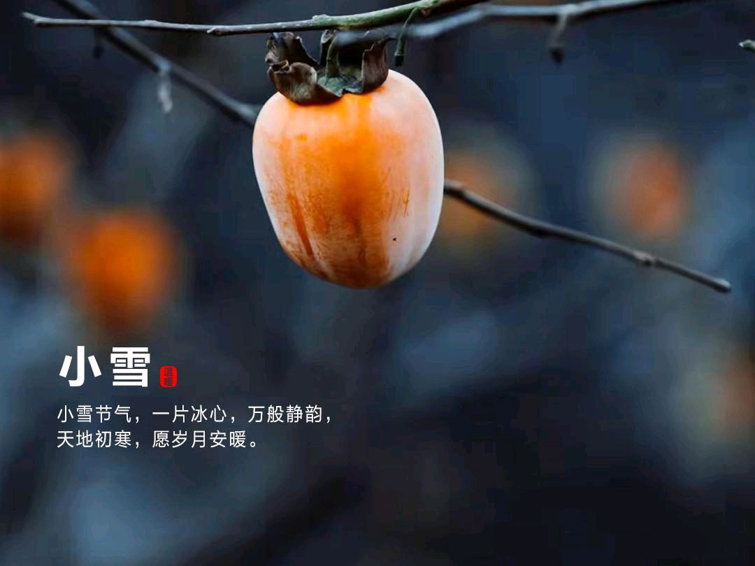 《九江文学社：北京头条》《小雪节气》专刊【总第1918期】（图13）