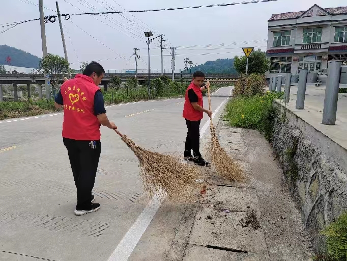 汉阴县蒲溪镇：发挥人大监督职能 提升人居环境质量（图4）