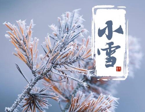 【新诗大观】小雪||文/金粉玉蝶