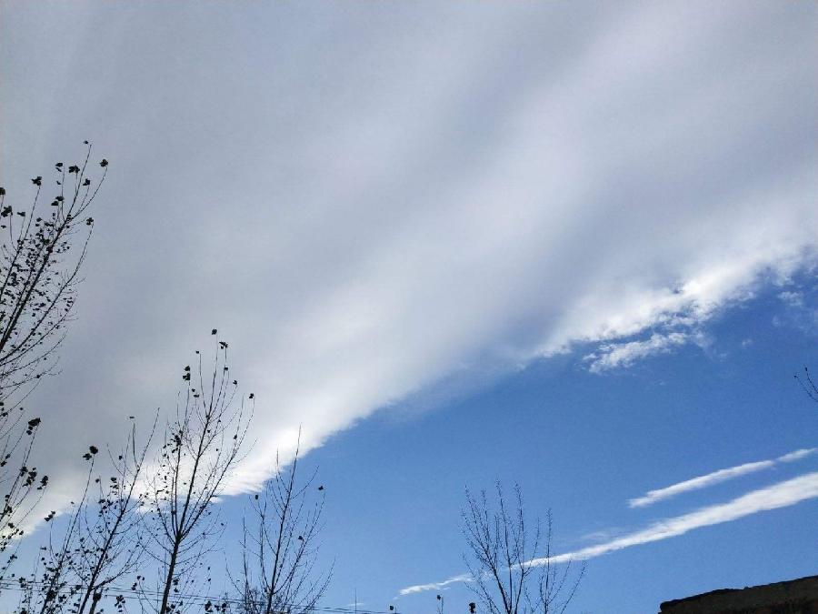 林杨(黑龙江):十一月的天空（图4）
