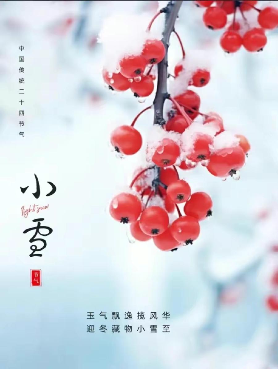 ［正宫·醉太平］小雪日感怀（文/张华兴）……莲叶之珠文学社