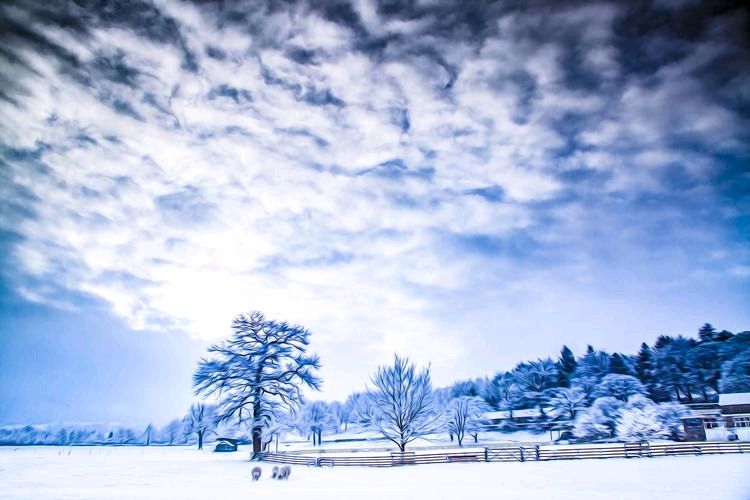 诗三首.大雪 作者/陈楚强（图3）