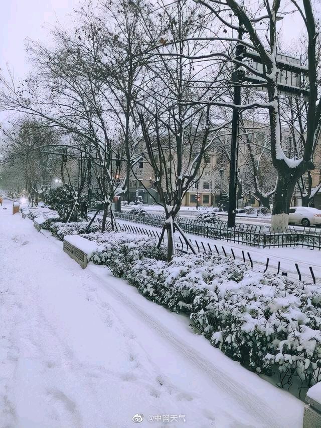诗三首.大雪 作者/陈楚强（图5）