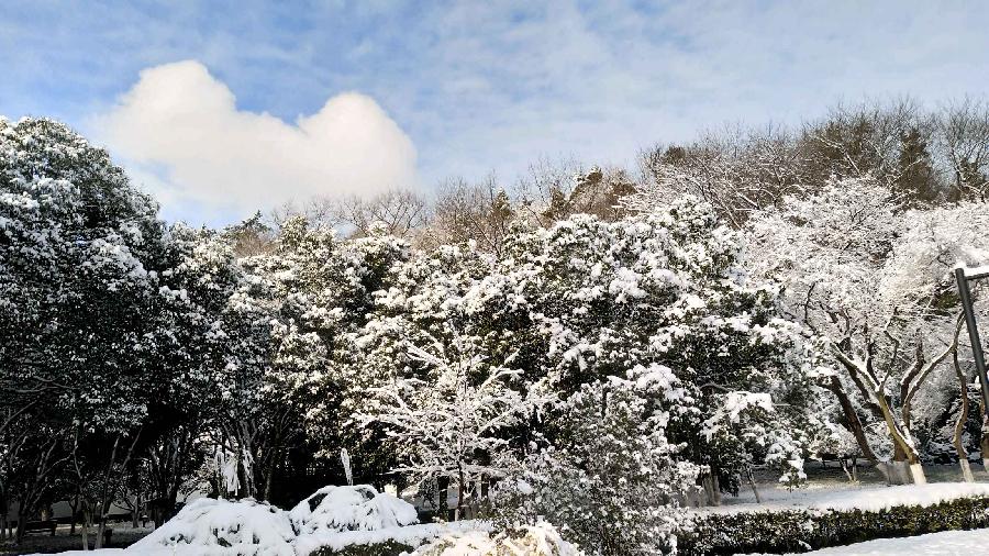 大雪纷飞