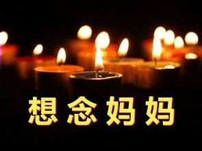 《生日祭母文》作者/泥里荷花 主播/乾坤夜 主编/胡琴