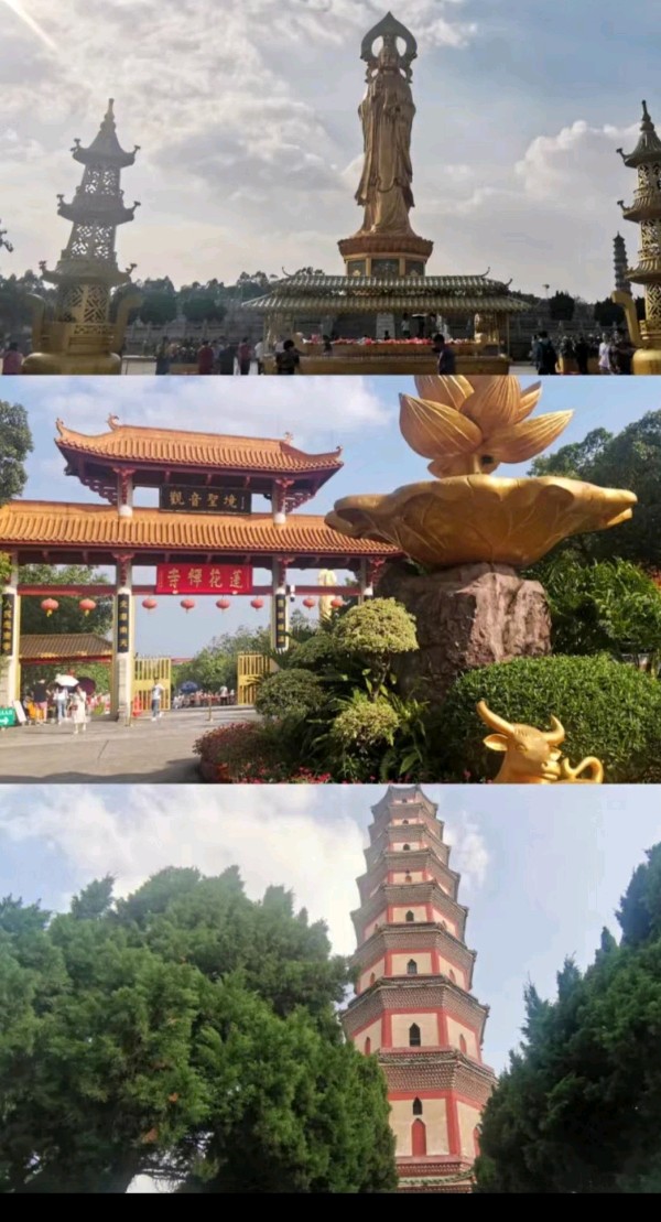 【经典推荐】曾培方//莲峰观海 羊城八景（图4）