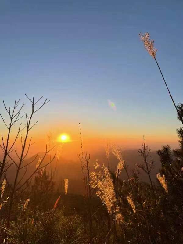 半步癫(小说)