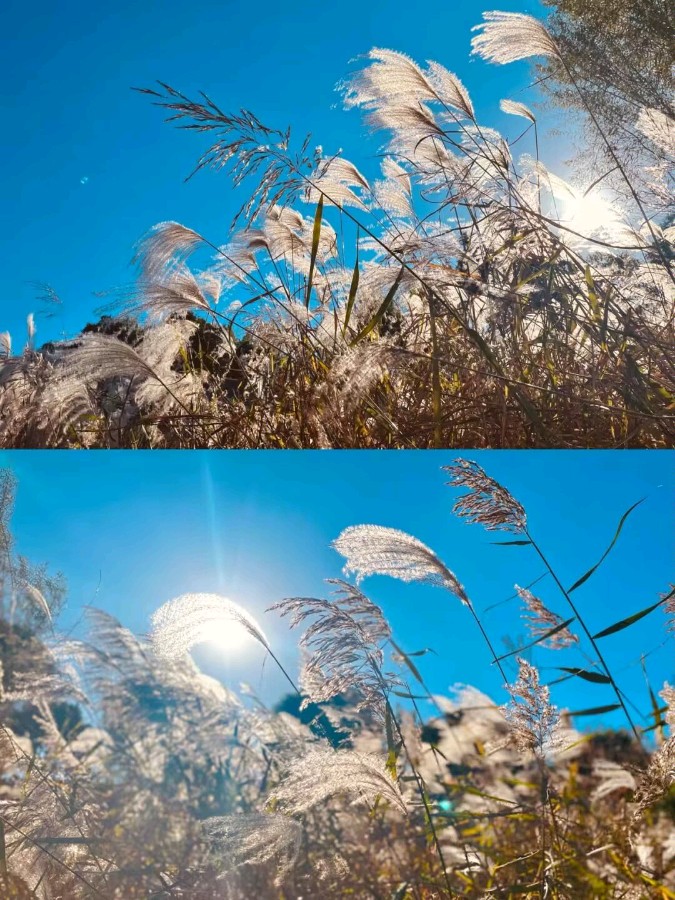 *诗歌小辑*作者：芦国柱（江苏镇江）【冰心文化传媒】（图3）