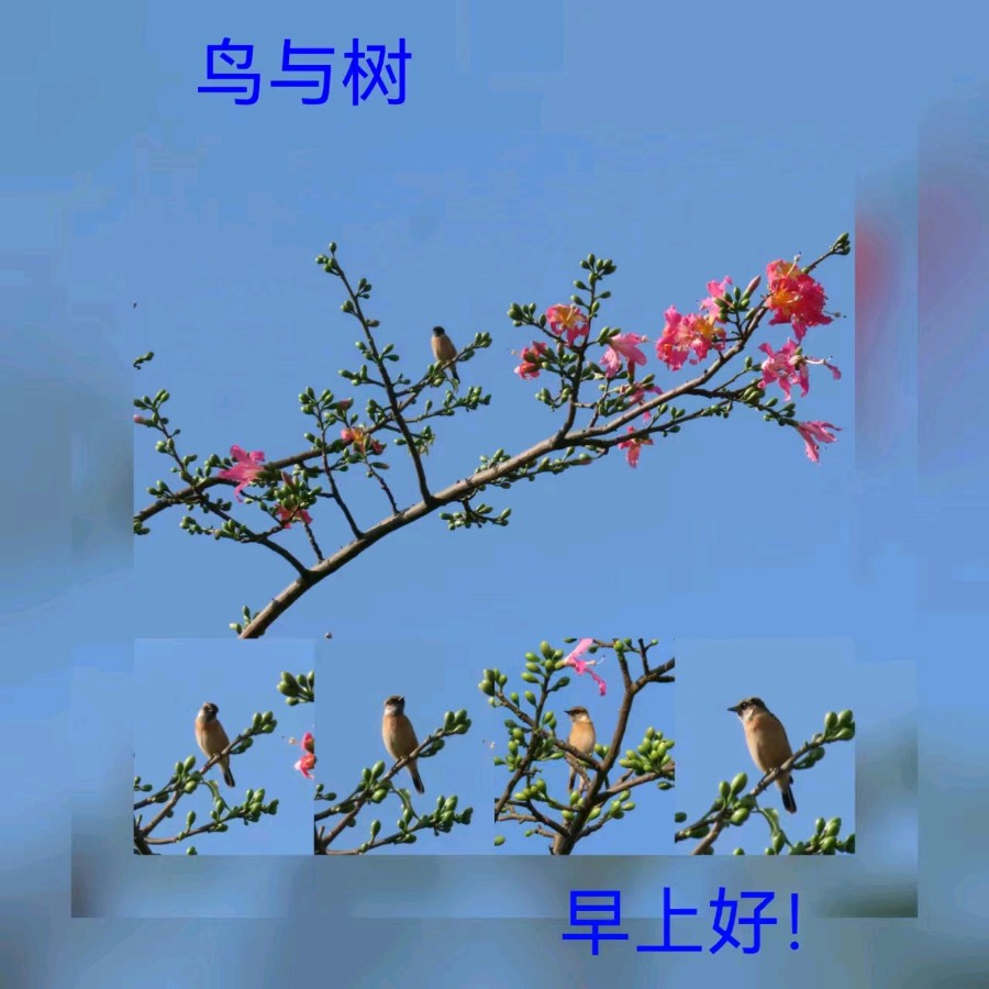 联机全球发布马洪武作品欣赏（图369）