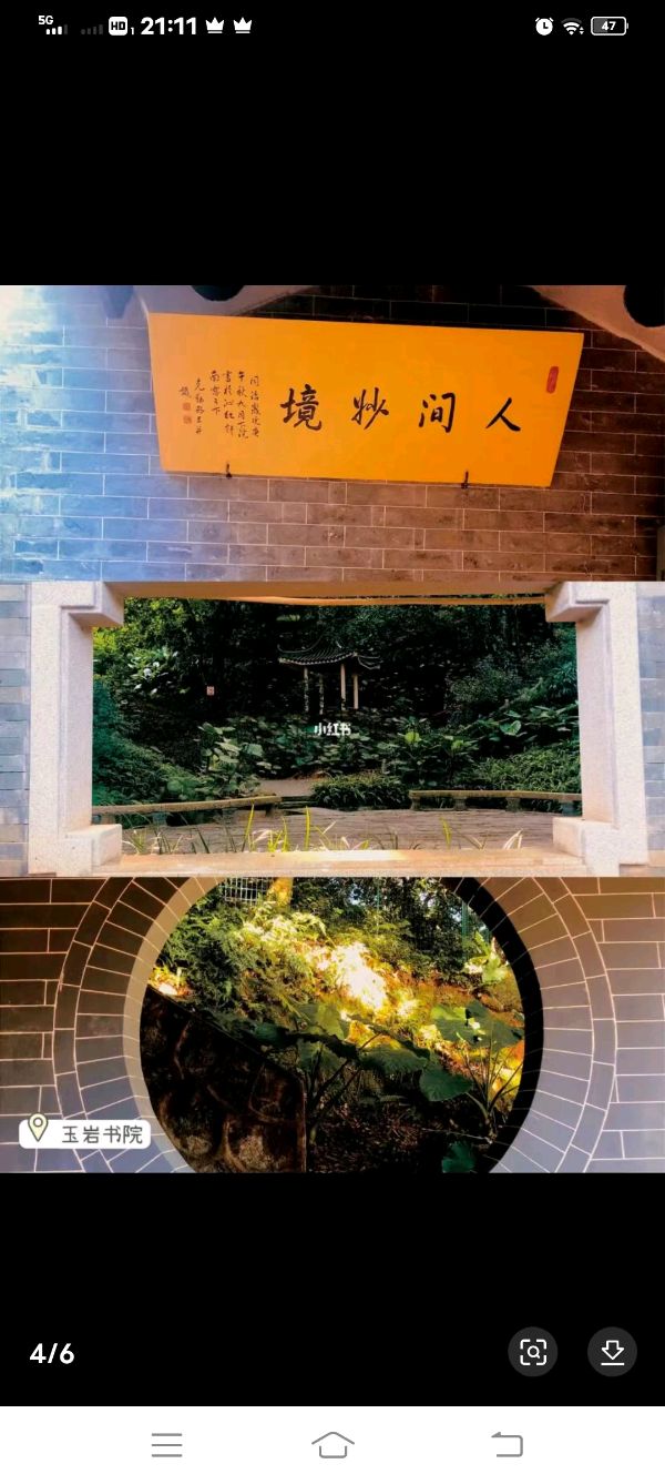 作者：曾培方《萝岗香雪——羊城八景》7222期【新京都文艺】（图4）