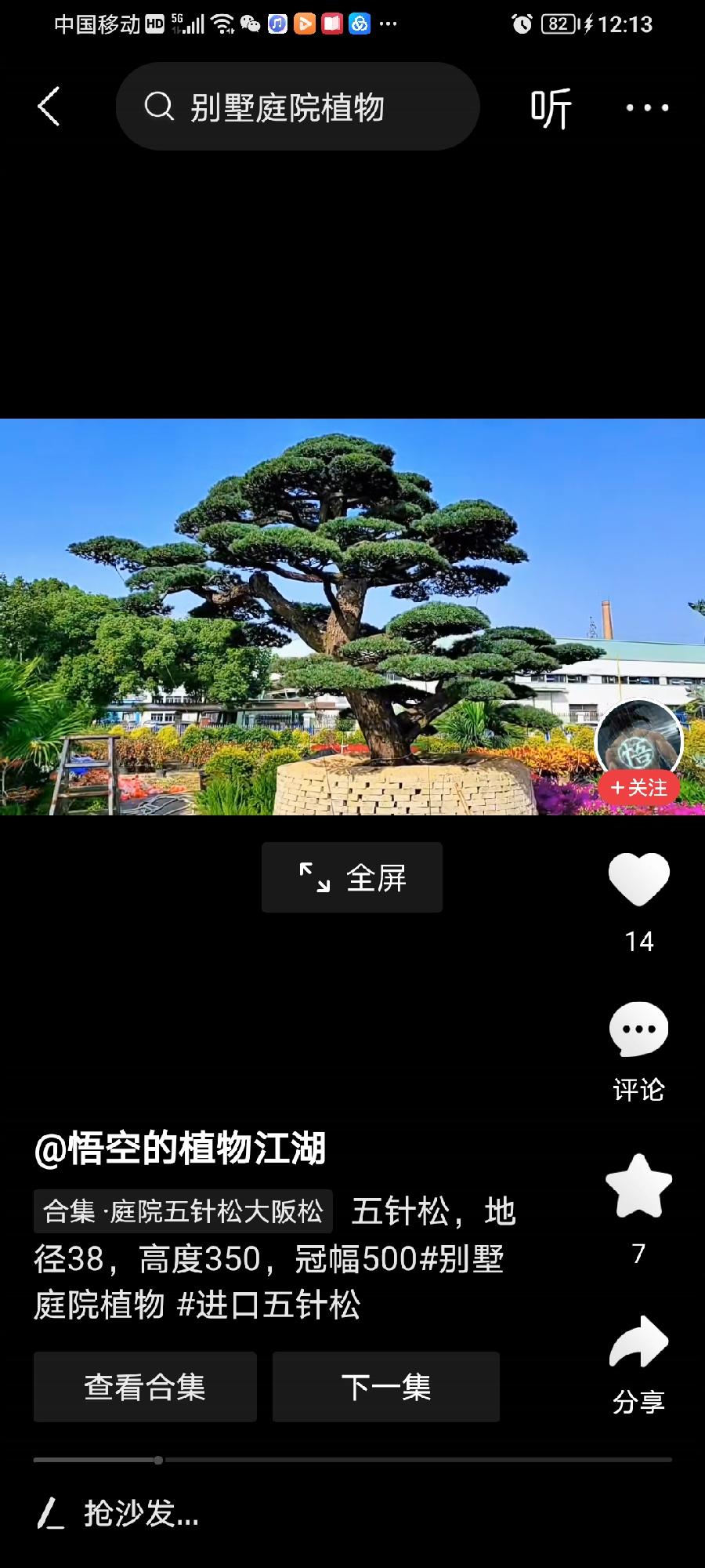 ［摄影诗文栏］五绝·雄奇五针松（文/方立新）……莲叶之珠文学设