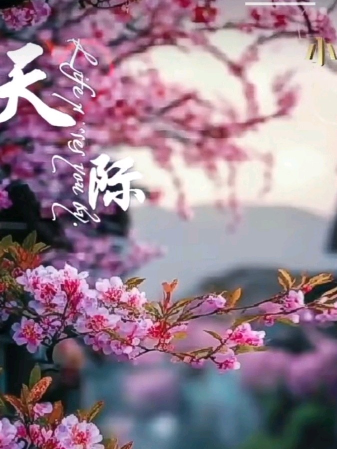 《九江文学社：北京头条》《名家专刊》杨成贵老领导近期箴言欣赏（图10）
