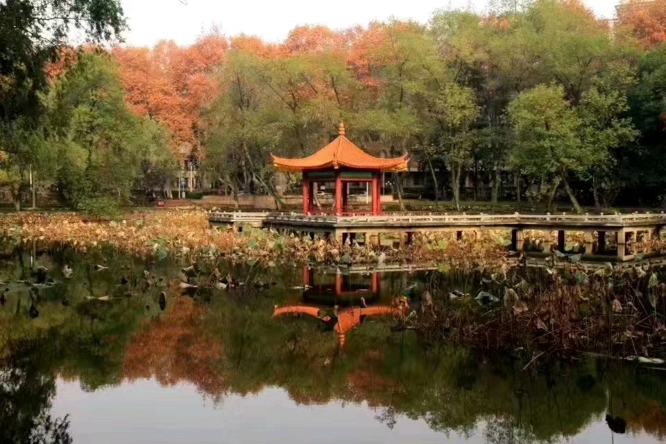 【行香子.读王正元博士(完美幻方构造法)有感】当代诗人潘泽彬作品,点评周明舫~北京头条(2023.11.25)(图2)