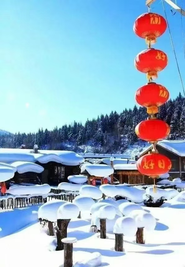 中华诗艺社黑龙江分社微刊第264期(图28)