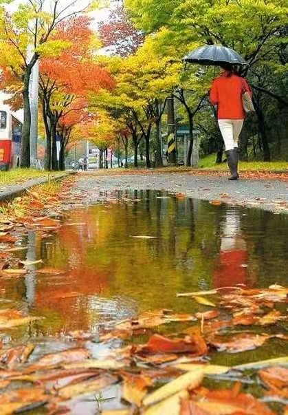 鹧鸪天·情有独钟(宴几道体）文/赵增军（图3）