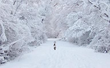 《以雪的名义》作者:回泉山人【主播:园】【中国现代诗歌文化传媒】徜徉诗的海洋聆听天籁之音♬（图5）