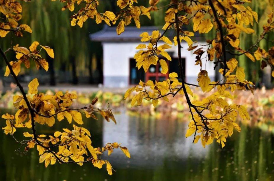 请欣赏刘锁海社长绝律六首（图4）