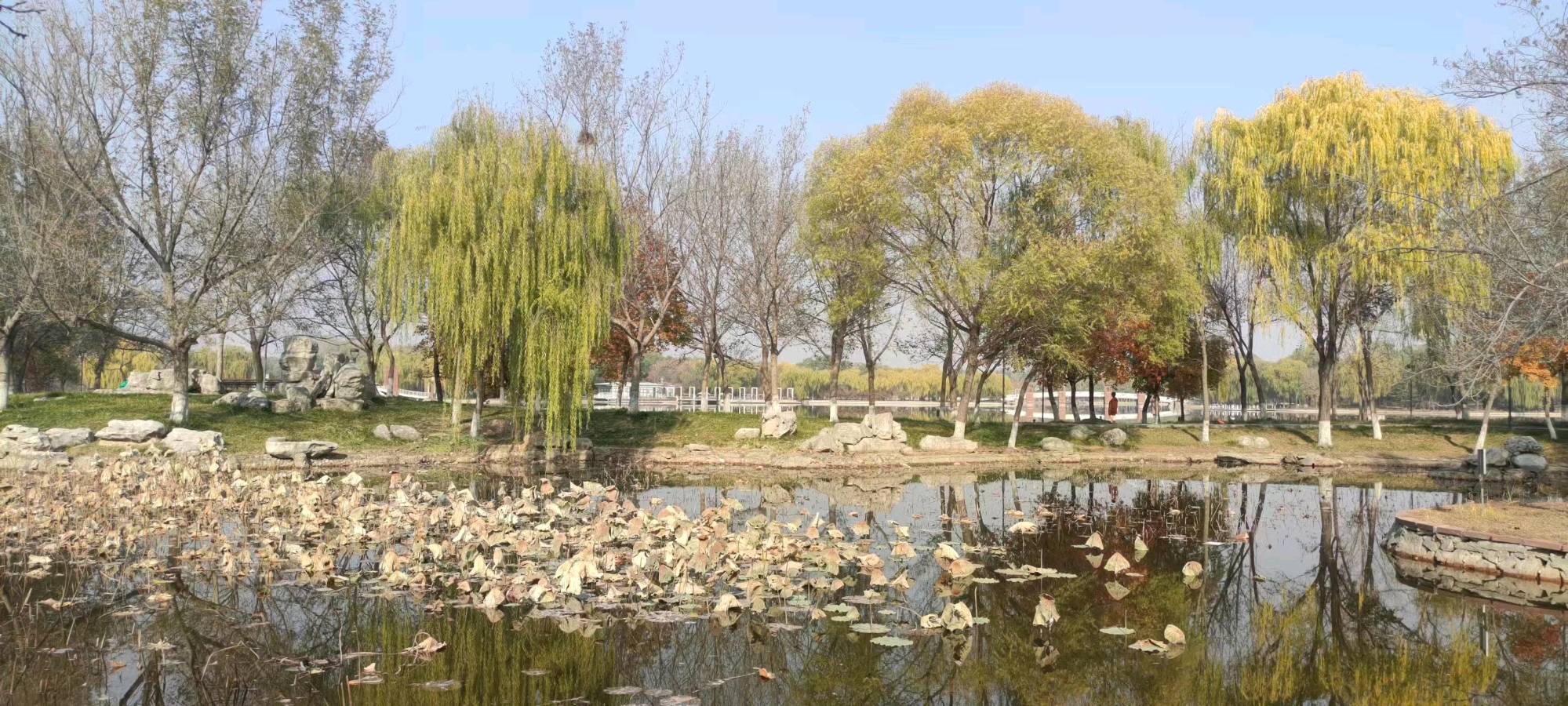 请欣赏刘锁海社长绝律六首（图6）