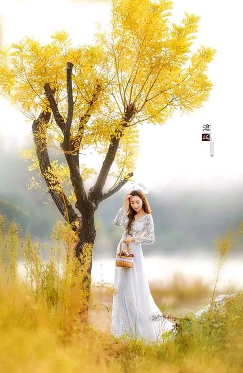 【新山东文学社】隆重推出:《秋诗一组（十二首）》作者/李秀菊（红叶）主播/墨兰（图4）