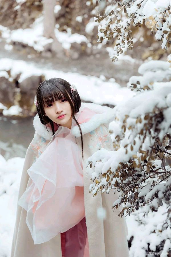五绝. 瑞雪兆丰年(中华新韵)文/毕寿延（图4）
