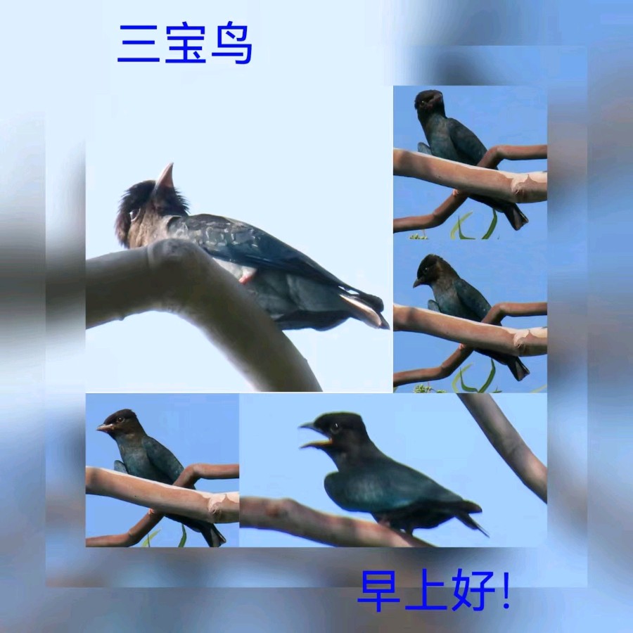 联机全球发布马洪武作品欣赏（图365）