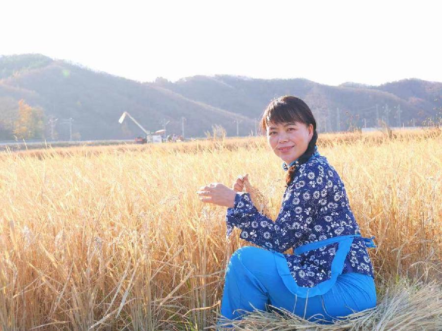 中华诗艺社黑龙江分社微刊第265期(图9)