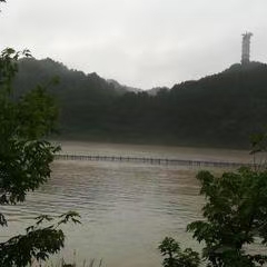 七绝·横江夜杖(文/冯清明)……莲叶之珠文学社