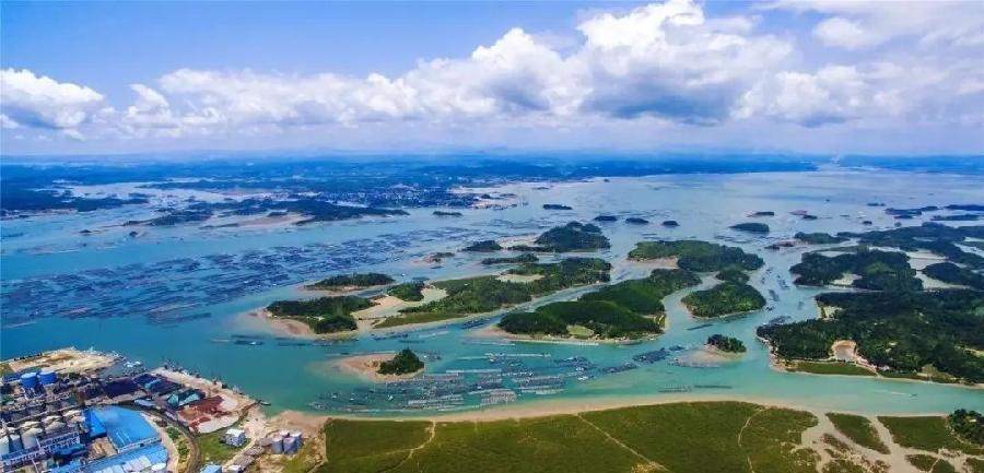 心醉钦州湾(图5)