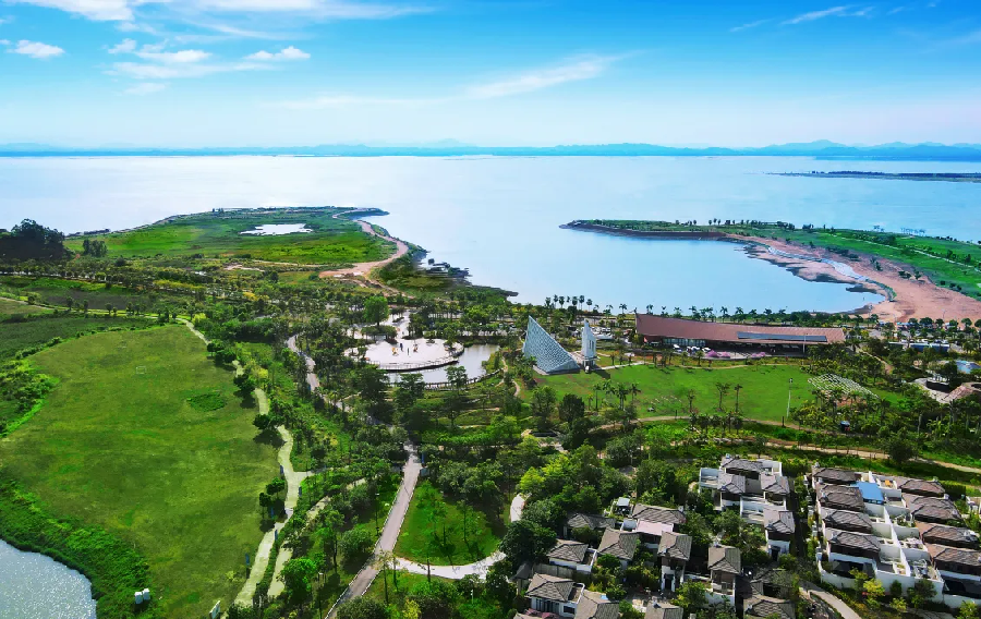 心醉钦州湾(图4)