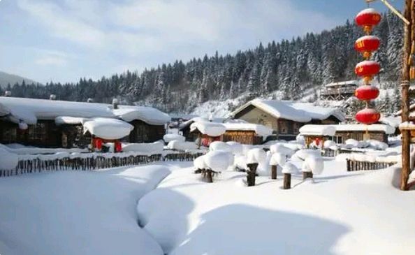 【美文美诵】馨声诵读《雪韵》作者/肖朝光 编辑制作/雨杉【花雨馨声】第522期（图5）
