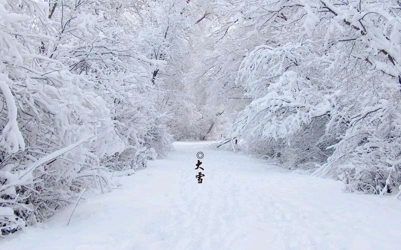 【中国长江文学社】《赏雪》作者 卢进国//主播 冬日艳阳//编辑 岁月静好 第6934期（图4）
