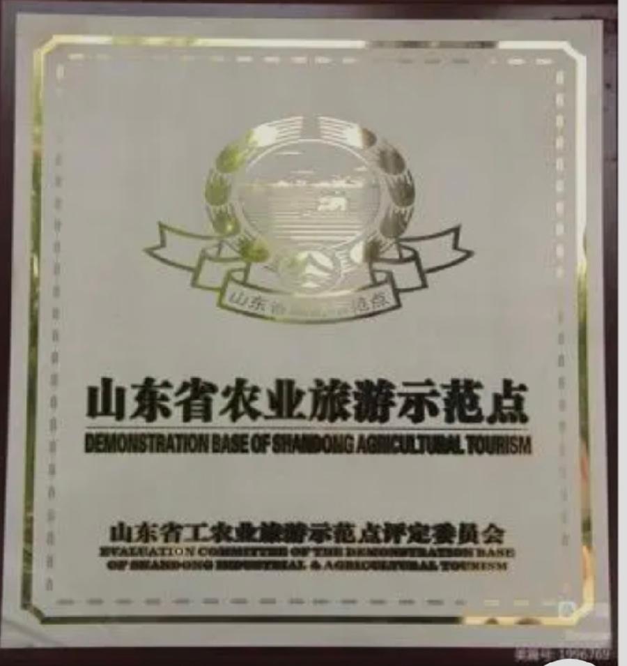 热烈祝贺山东正信味业食品有限公司荣获“山东精品旅游研学实践示范单位”荣誉称号(图5)