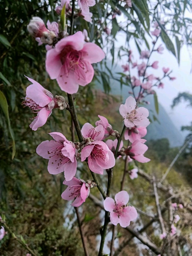 【星月诗社】||梁雨情:蜕变(小说)—北京头条(图6)