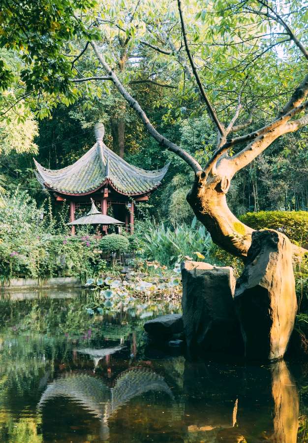 【星月诗社】||梁雨情:蜕变(小说)—北京头条(图8)
