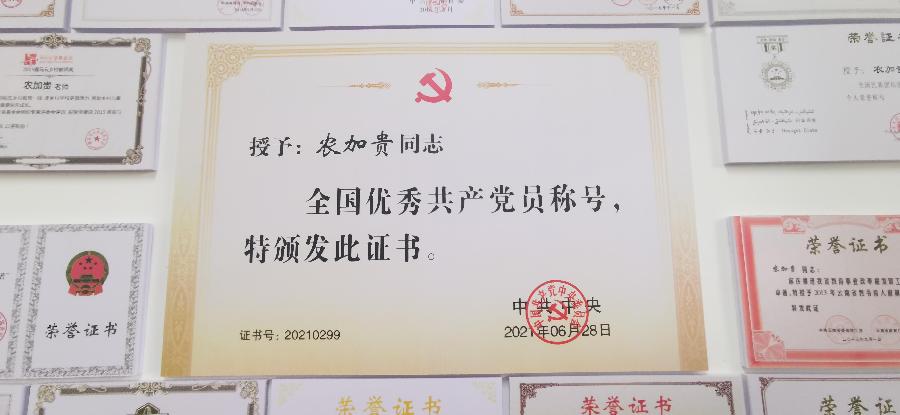 走,到落松地做公益去(图7)