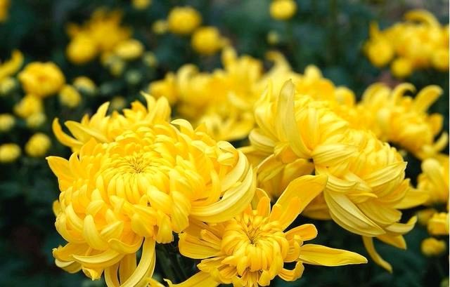 【星月诗社】||梁雨情:蜕变(小说)—北京头条(图14)