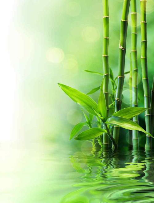 张广新的《七绝•咏竹》